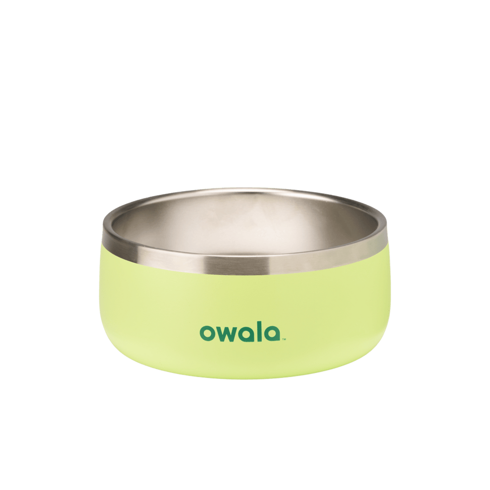 Pet Bowl 3-cup, lime green exterior with stainless steel interior