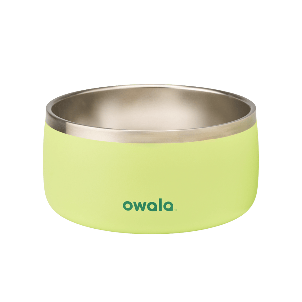 Pet Bowl 6-cup, lime green exterior with stainless steel interior; wider bowl